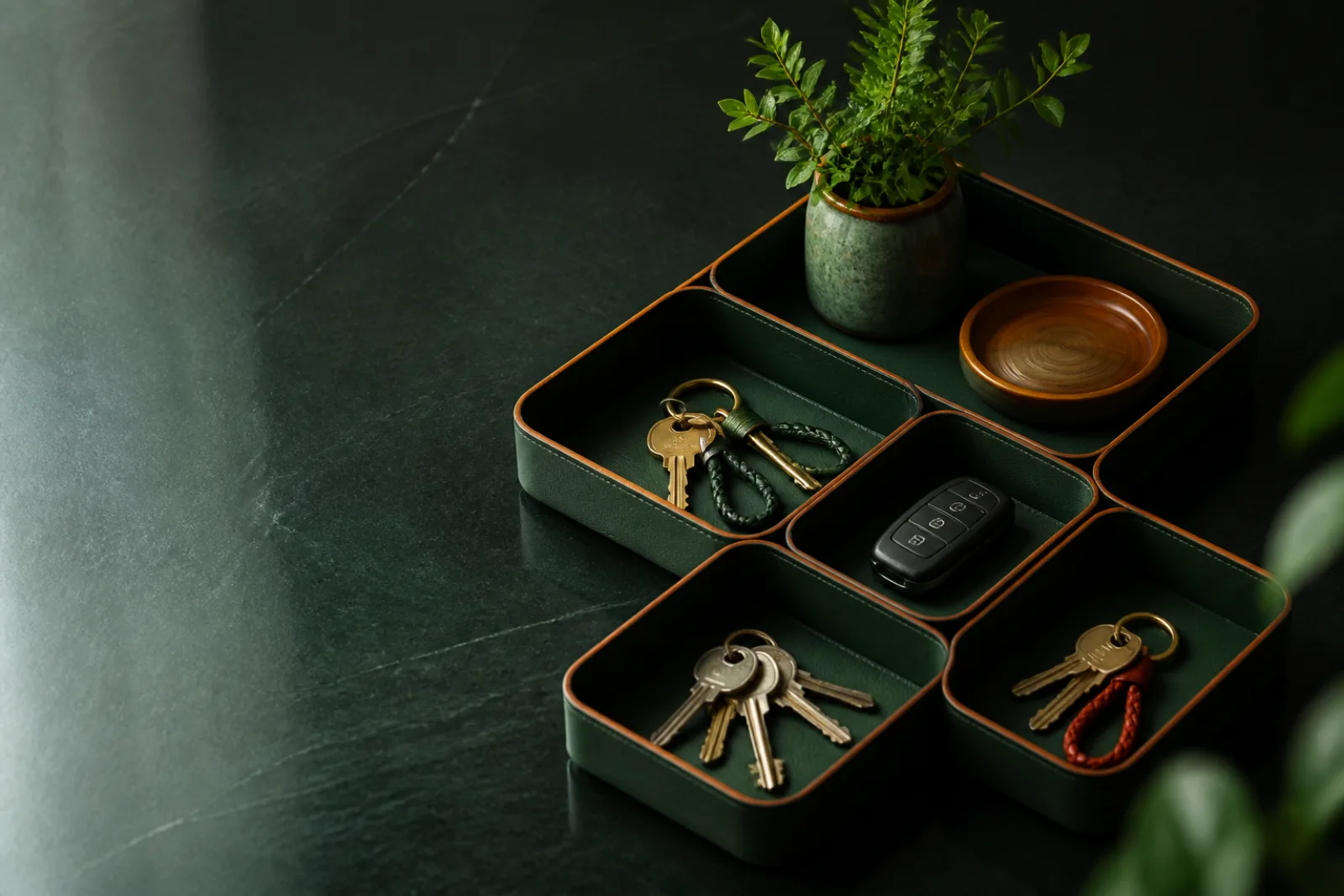 Household keys and garage remote arranged in controlled individual trays.